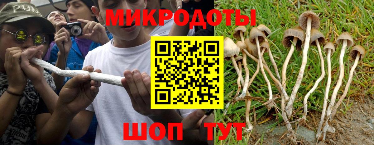 Вышний Волочёк  наркошоп  Галлюциногенные грибы Magic Shrooms  Вход с VPN  Псилоцибиновые грибы прущие грибы 